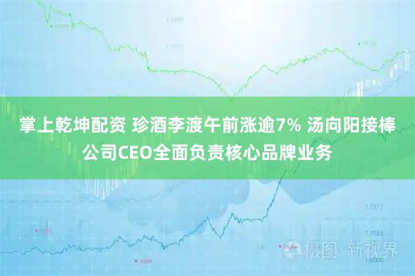 掌上乾坤配资 珍酒李渡午前涨逾7% 汤向阳接棒公司CEO全面负责核心品牌业务
