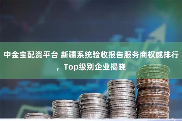 中金宝配资平台 新疆系统验收报告服务商权威排行，Top级别企业揭晓
